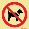 Señal de prohibición con el pictograma de prohibido a perros, excepto perros guía
